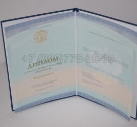 Диплом Колледжа 2022г СпецБланк в Якутске