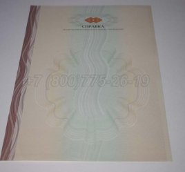 Академическая Справка ВУЗа 2019г в Якутске