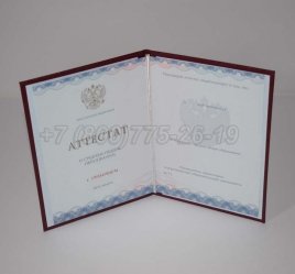 Аттестат За 11 Класс 2020г Золото ГОЗНАК в Якутске