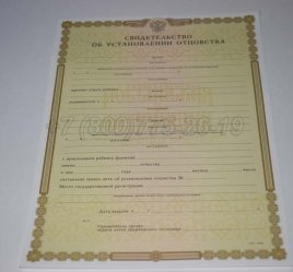 Свидетельство об Установлении Отцовства 2019г в Якутске