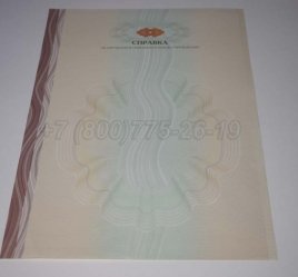 Академическая Справка ВУЗа 2023г в Якутске