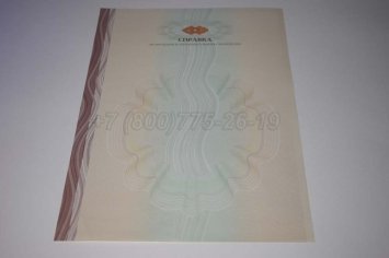 Академическая Справка ВУЗа 2023г в Якутске