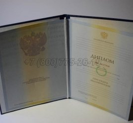 Диплом Института 2010г в Якутске