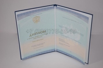 Диплом Техникума 2024г СпецБланк в Якутске