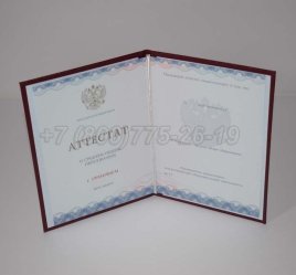 Аттестат За 11 Класс 2023г Золото ГОЗНАК в Якутске