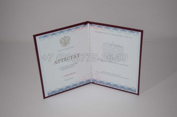 Аттестат За 11 Класс 2023г Золото ГОЗНАК в Якутске
